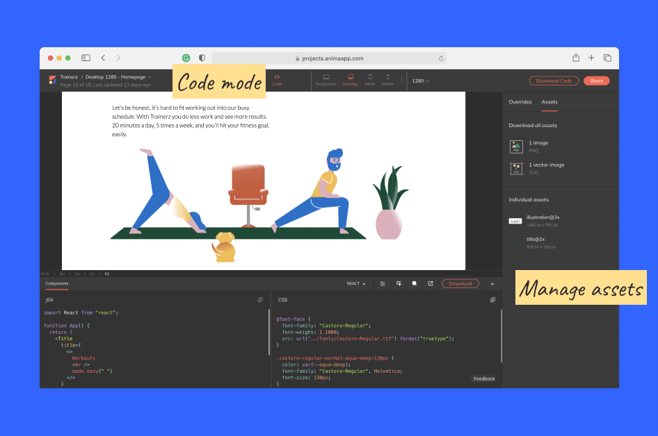 Image showing how to manage assets & components in one place with Anima